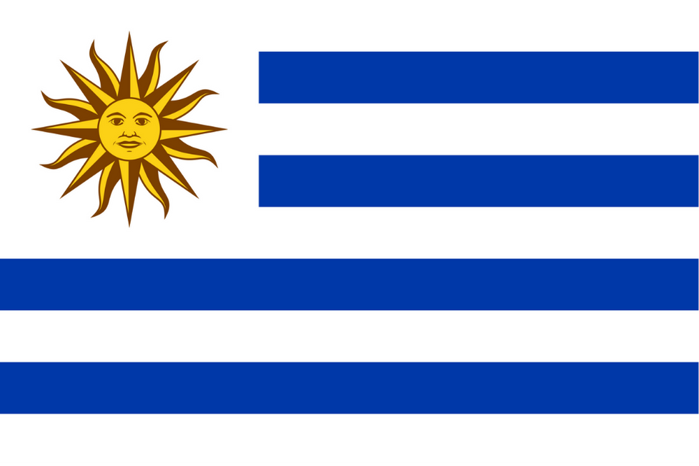 URUGUAY ÜLKE BAYRAĞI 45x30CM DUVAR TABLOSU ÇERÇEVESİZ PVC TABLO