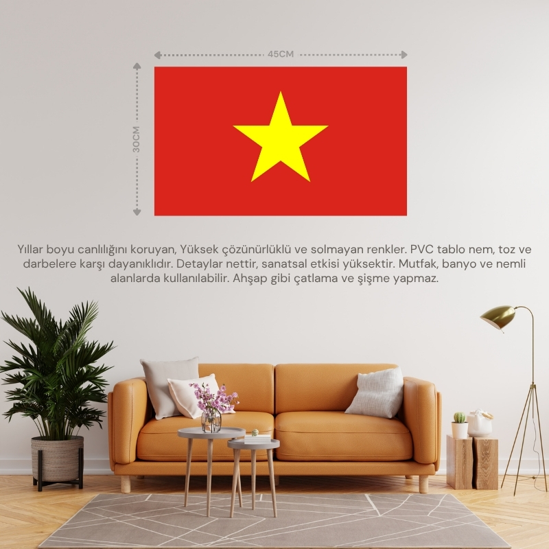 VİETNAM ÜLKE BAYRAĞI 45x30CM DUVAR TABLOSU ÇERÇEVESİZ PVC TABLO