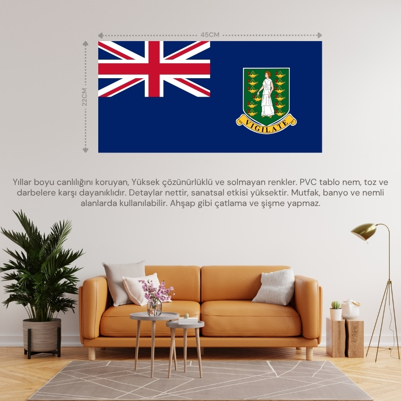 VİRGİN ADALARI ÜLKE BAYRAĞI 45x22CM DUVAR TABLOSU ÇERÇEVESİZ PVC TABLO