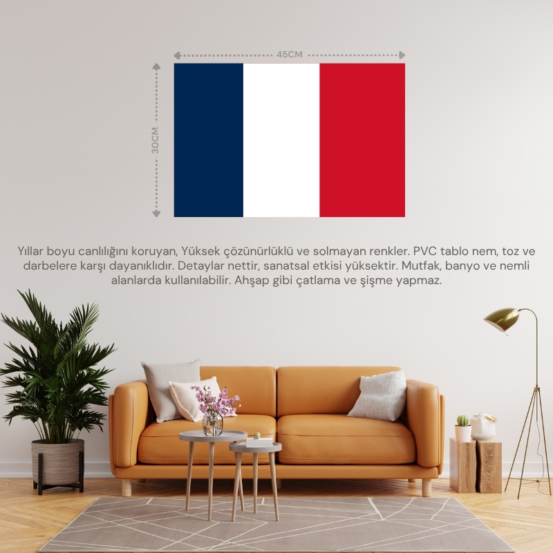 YENİ KALEDONYA ÜLKE BAYRAĞI 45x30CM DUVAR TABLOSU ÇERÇEVESİZ PVC TABLO YENİ KALEDONYA ÜLKE BAYRAĞI 45x30CM DUVAR TABLOSU ÇERÇEVESİZ PVC TABLO