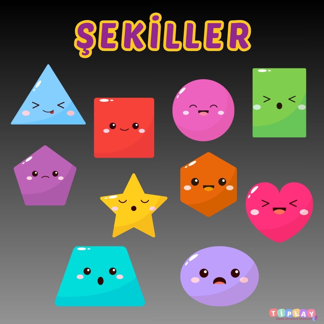 ŞEKİLLER PANOSU 