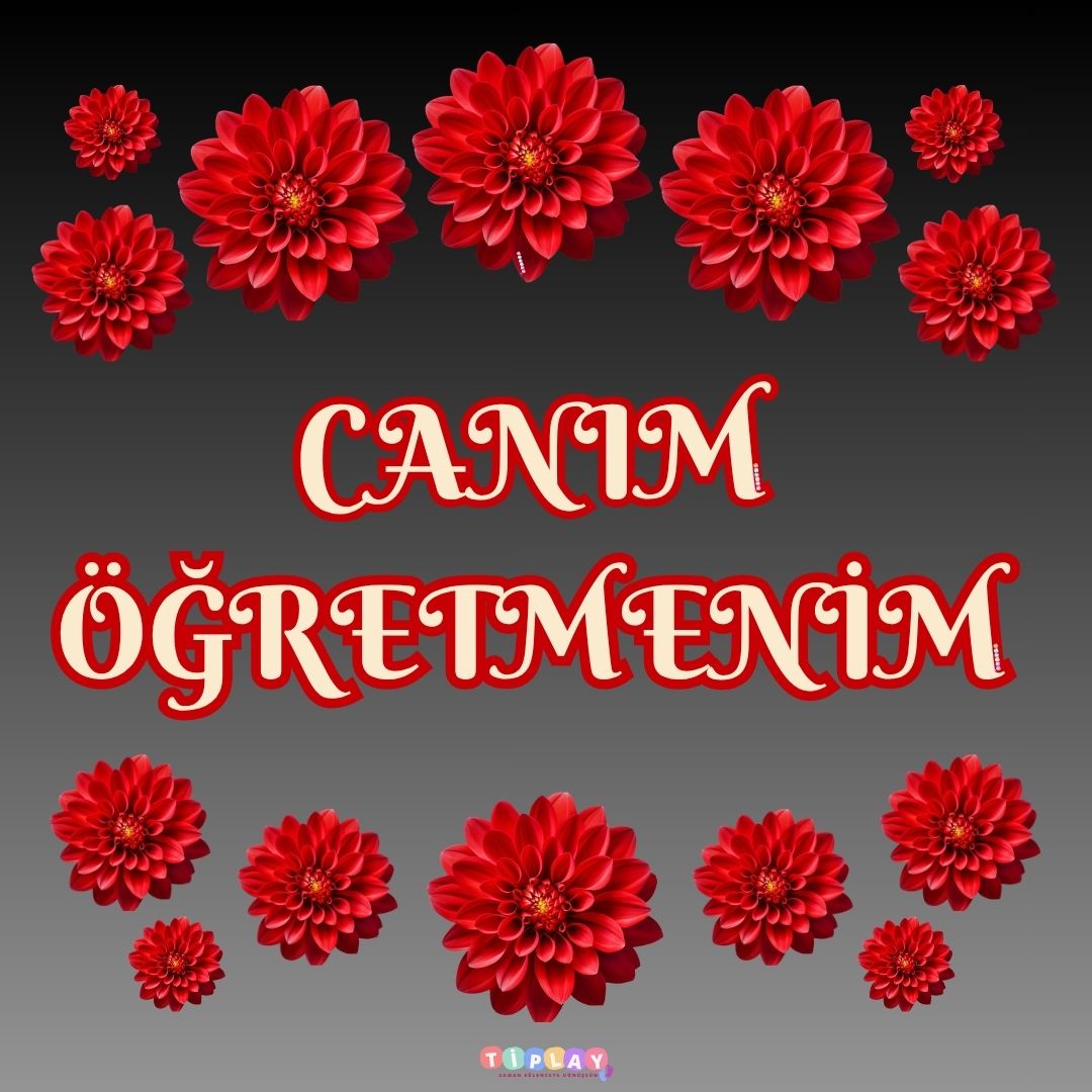 CANIM ÖĞRETMENİM PANO SÜSÜ