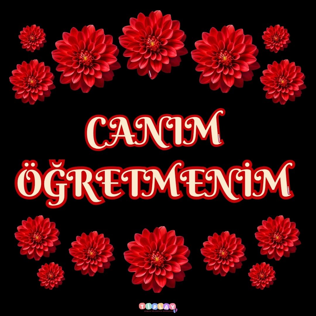 CANIM ÖĞRETMENİM PANO SÜSÜ