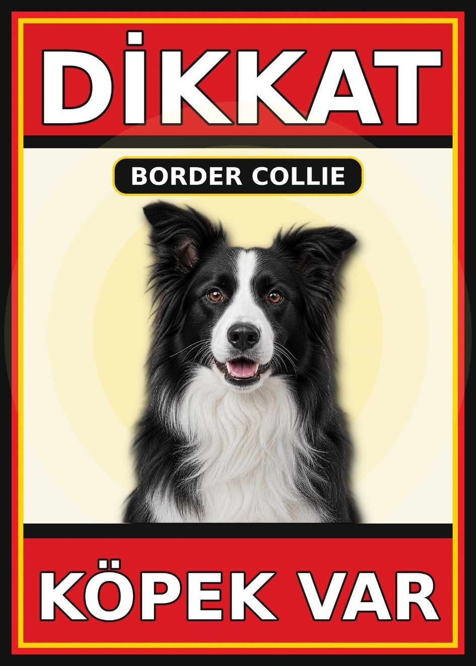 Border Collie Dikkat Köpek Var Levhası 21x30 cm UV Baskılı PVC Uyarı Tabelası