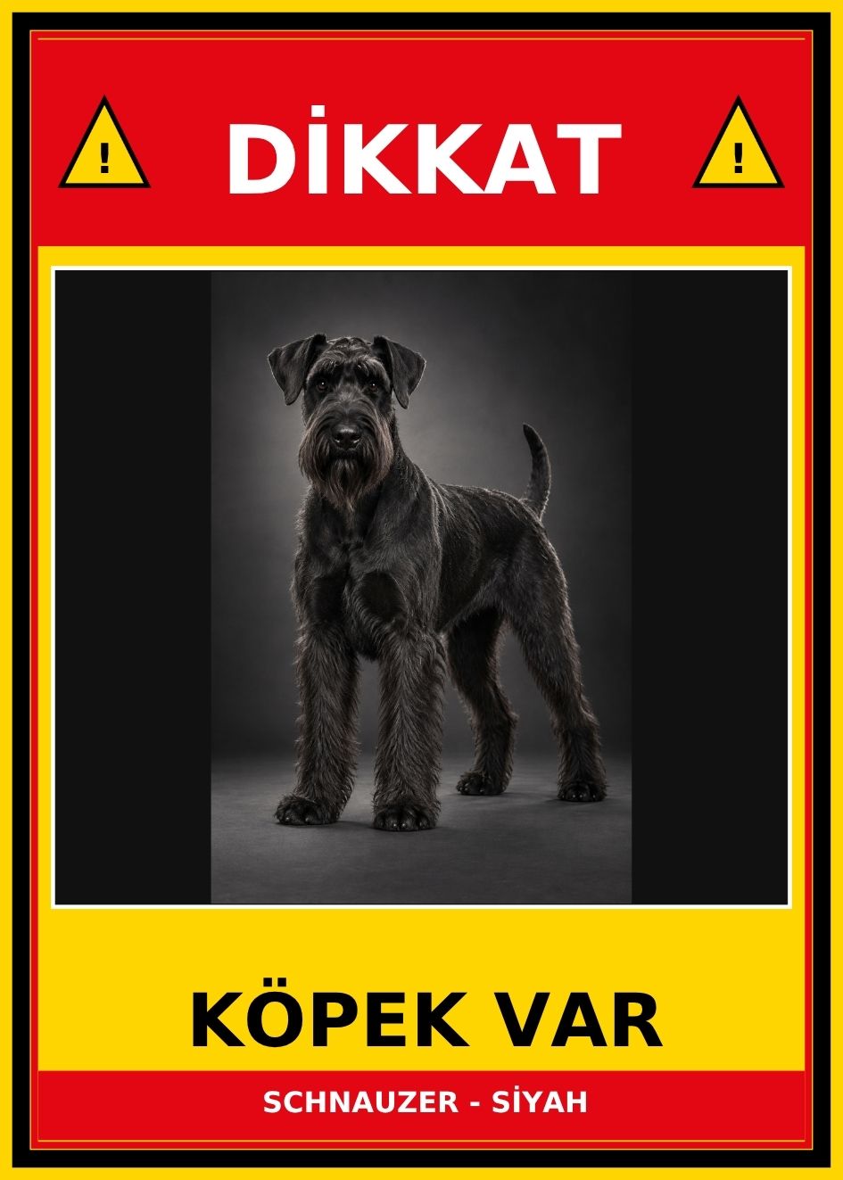 SCHNAUZER - SİYAH Dikkat Köpek Var Levhası 21x30 cm UV Baskılı PVC Uyarı Tabelası