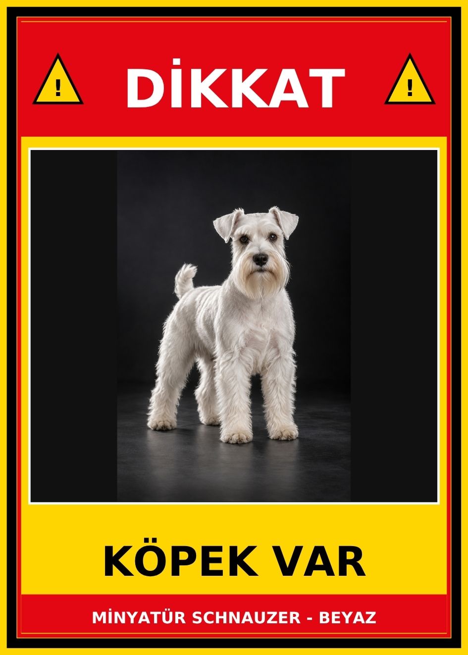 MİNYATÜR SCHNAUZER - BEYAZ Dikkat Köpek Var Levhası 21x30 cm UV Baskılı PVC Uyarı Tabelası