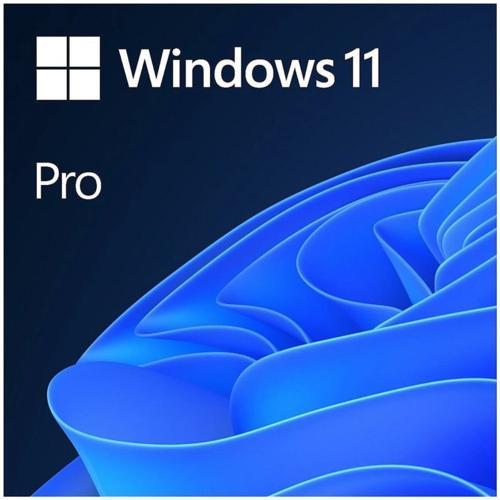 MICROSOFT WINDOWS 11 PRO 64BIT INGILIZCE OEM FQC-10528