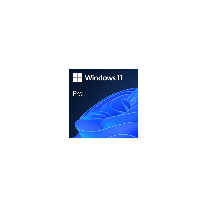 WINDOWS 11 PROFESSIONAL-ELEKTRONIKLISANS