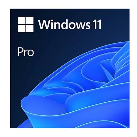 MICROSOFT WINDOWS 11 PRO 64BIT TURKCE KUTU HAV-00159