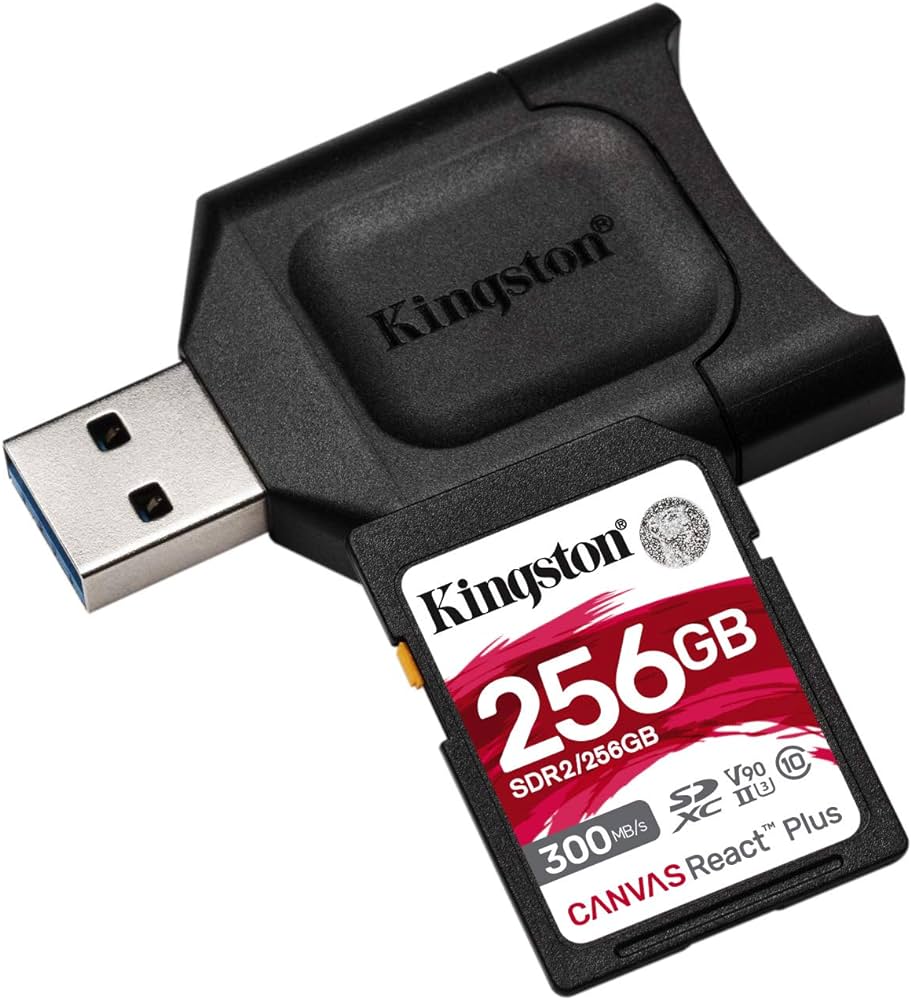 KINGSTON 256GB SDR2+SD Okycu MLPR2-256GB