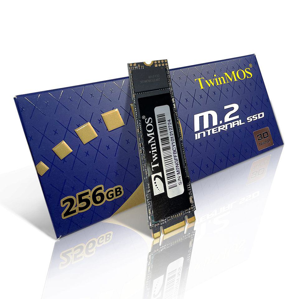 TWINMOS 256GB M.2 2280 SATA3 SSD (580MB-550MB/S) 3DNAND