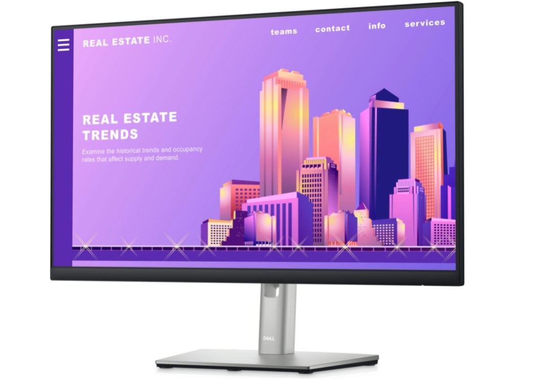 DELL P2422H 23,80" 1920x1080 8ms VGA DP HDMI Siyah LED Monitör