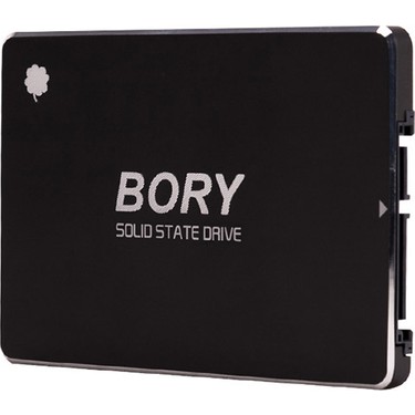 128 GB BORY SATA3 R500-C128G SSD 550/510 MBS (3 YIL GARANTİLİ)